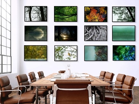 La forêt riveraine de la Seine