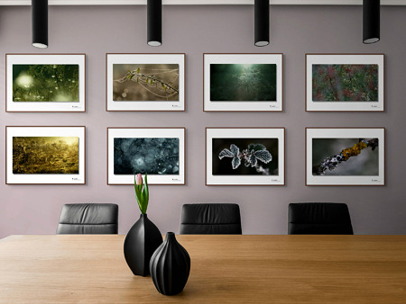 Le fourré d'épines