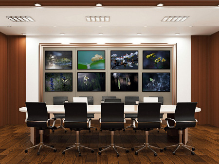 Brie française / L'Espace Naturel des Bordes Chalonges