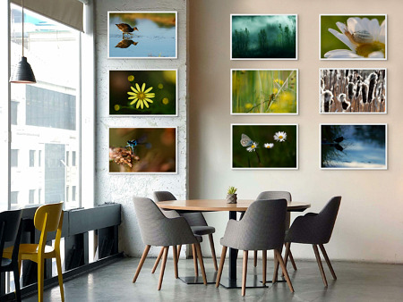 Brie française / L'Espace Naturel de la Motte