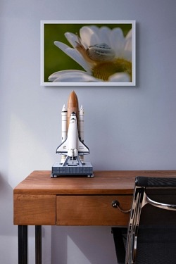 Espace Naturel de la Motte