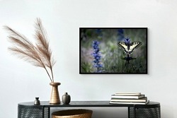 Espace Naturel des Bordes Chalonges