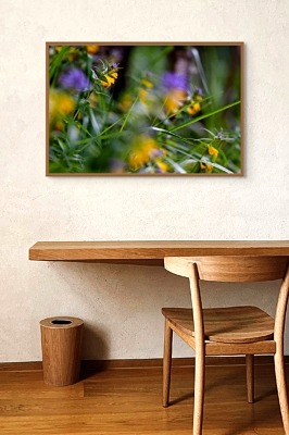 Dans l'ombre des sapins