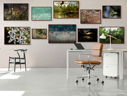 Une forêt d'exception