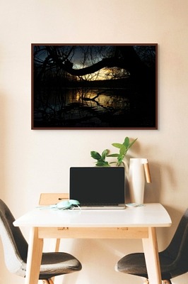 La forêt riveraine de la Seine