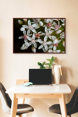 Les murs de la Tour Dénécourt