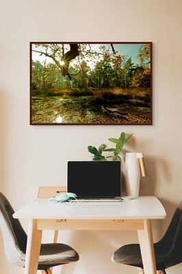 La mare de platière