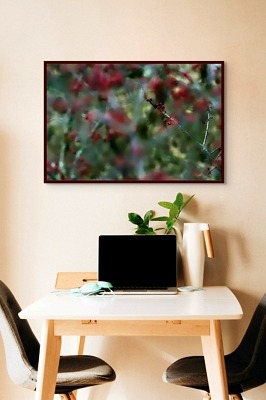 Les fourrés d'épines