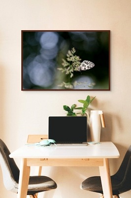 La hêtraie-chênaie