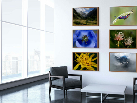 Le Parc National des Ecrins