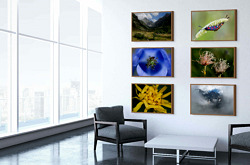 Le Parc National des Ecrins