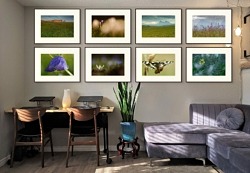 La prairie de fauche