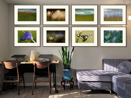 La prairie de fauche